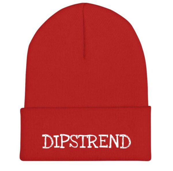 DIPSTREND HEADWARMER